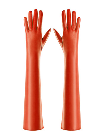 LONG GLOVES